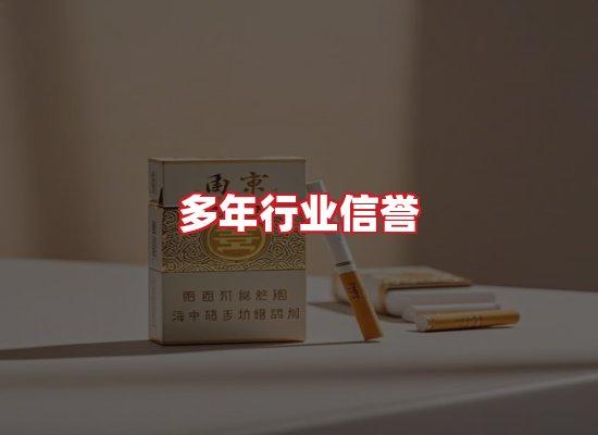 专业团队